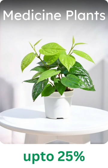 Medicinal Plants
