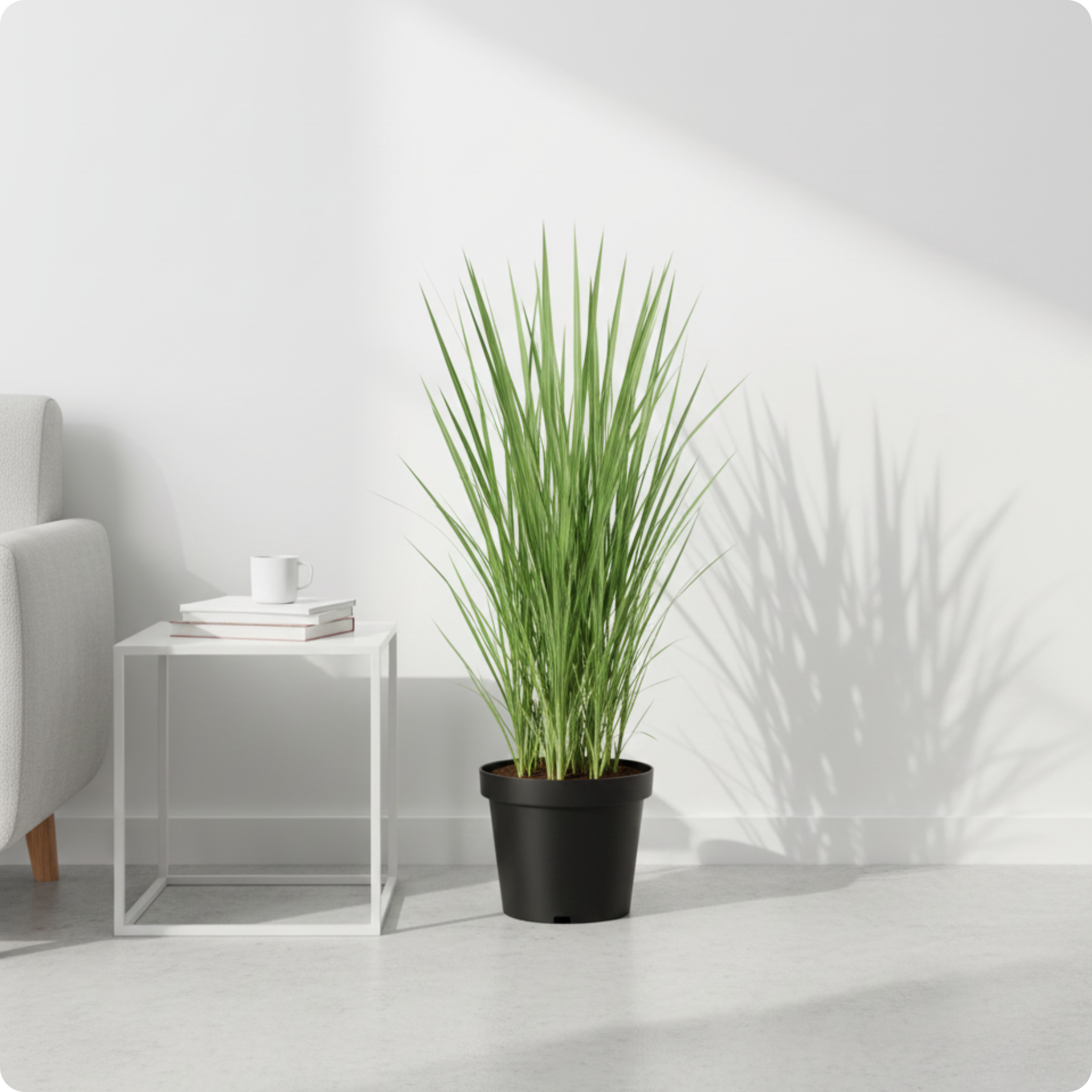 Lemongrass