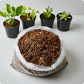 Indoor Potting Mix