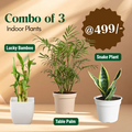 Indoor Combo @ Just 499