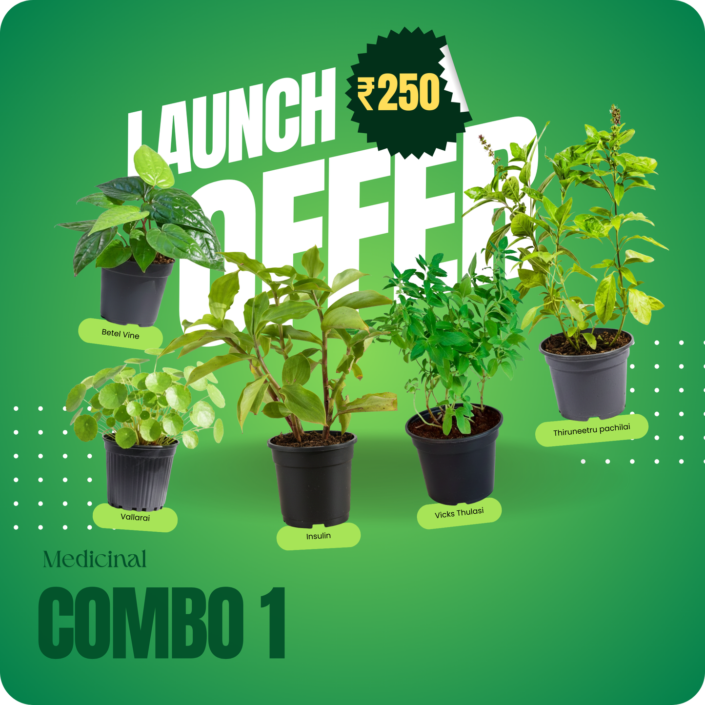 Medicinal Combo 1 – Launch Offer ₹250