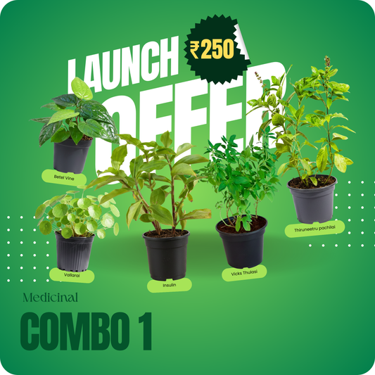 Medicinal Combo 1 – Launch Offer ₹250