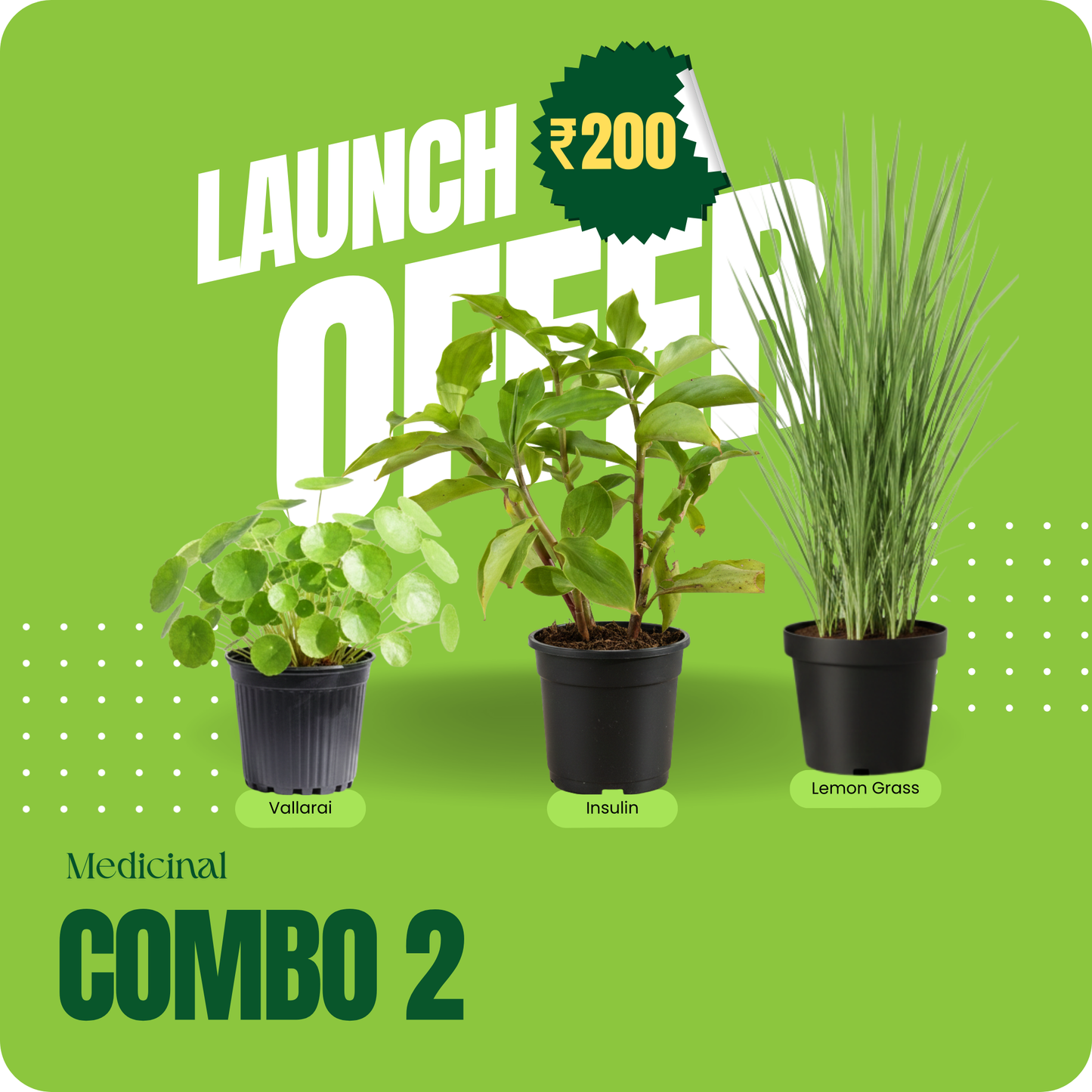 Medicinal Combo 2– Launch Offer ₹200