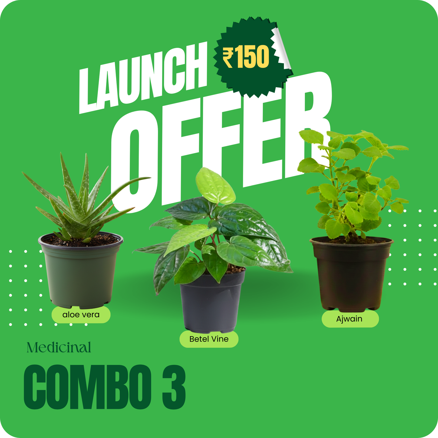 Medicinal Combo 3– Launch Offer ₹150