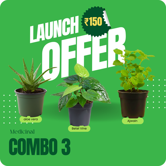 Medicinal Combo 3– Launch Offer ₹150