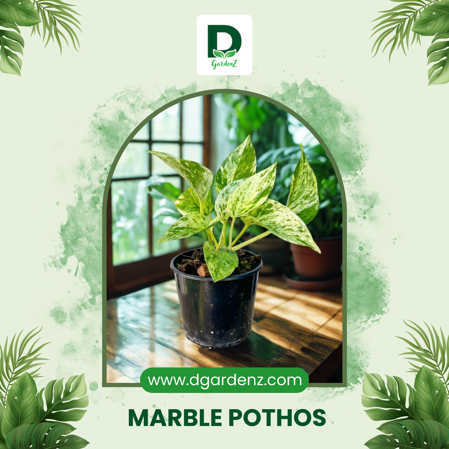 Womensday Combo @299