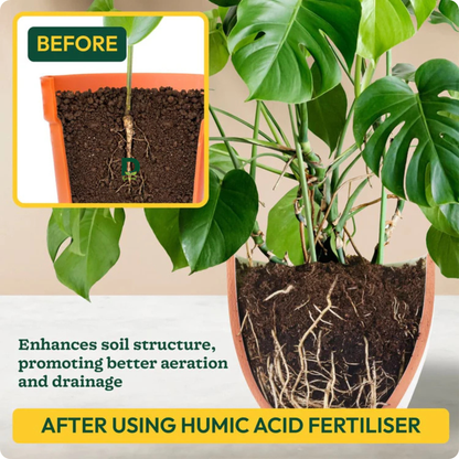 Humic Acid Powder Fertilizer - 1 Kg