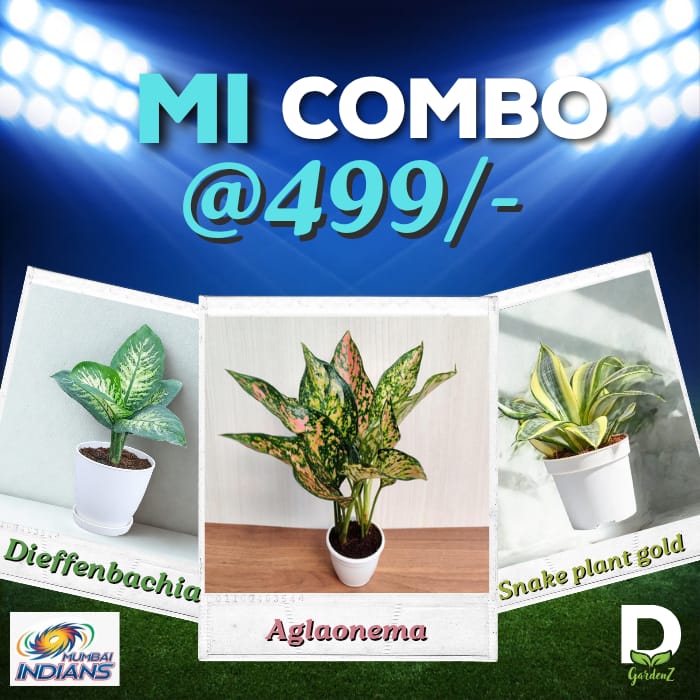 Mi IPL Combo @ Just 499