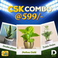 CSK IPL Combo @ Just 599