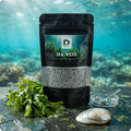 Sea Weed
