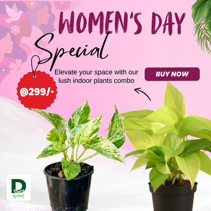 Womensday Combo @299